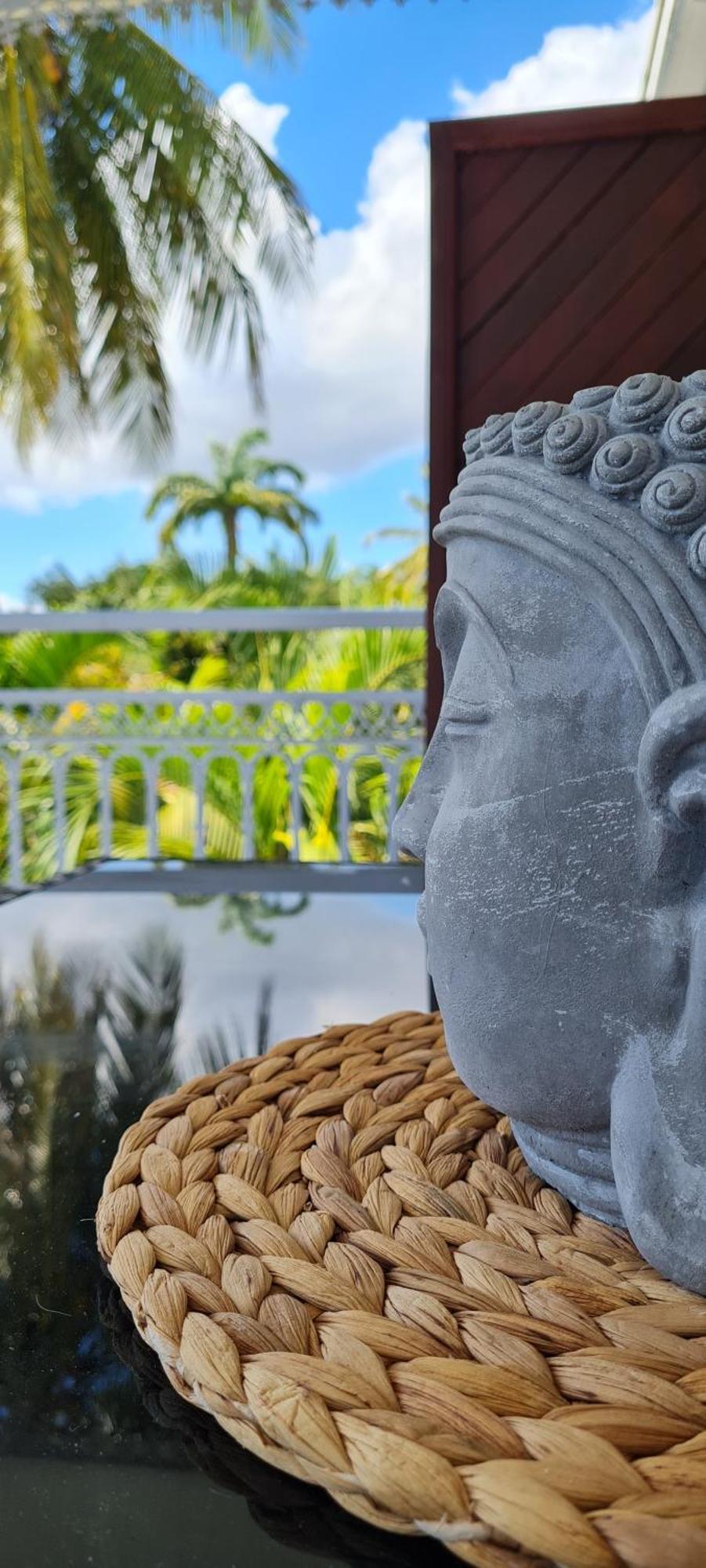 Grand Studio Zen Idealement Situe A Saint-Francois Avec Piscine Et Terrasse Cameră foto